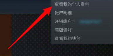 steam库存怎么公开 steam怎么解除库存私密状态