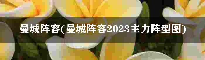 曼城阵容(曼城阵容2023主力阵型图)