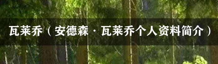 瓦莱乔（安德森·瓦莱乔个人资料简介）