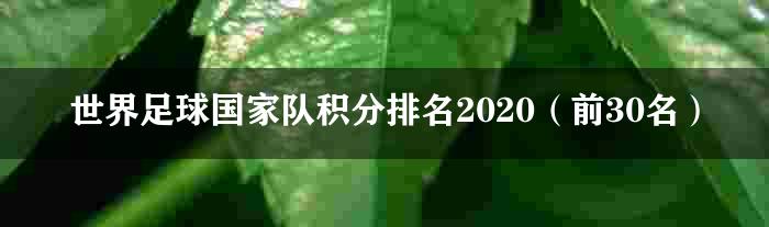 世界足球国家队积分排名2020（前30名）