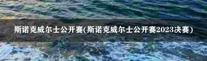 斯诺克威尔士公开赛(斯诺克威尔士公开赛2023决赛)