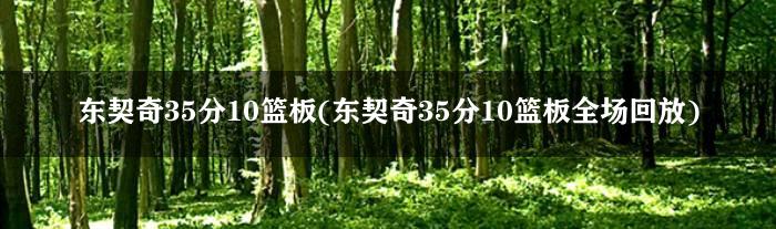 东契奇35分10篮板(东契奇35分10篮板全场回放)