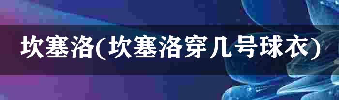 坎塞洛(坎塞洛穿几号球衣)