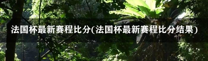 法国杯最新赛程比分(法国杯最新赛程比分结果2023)