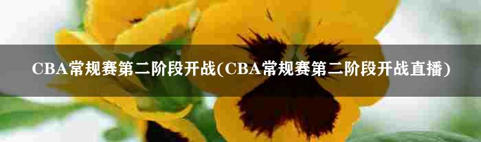 CBA常规赛第二阶段开战(CBA常规赛第二阶段开战直播)