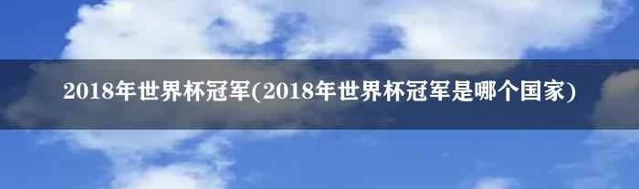 2018年世界杯冠军(2018年世界杯冠军是哪个国家)