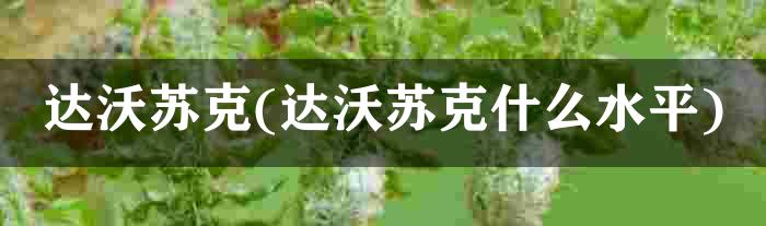 达沃苏克(达沃苏克什么水平)