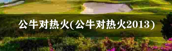 公牛对热火(公牛对热火2013)