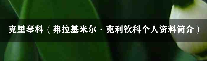 克里琴科（弗拉基米尔·克利钦科个人资料简介）