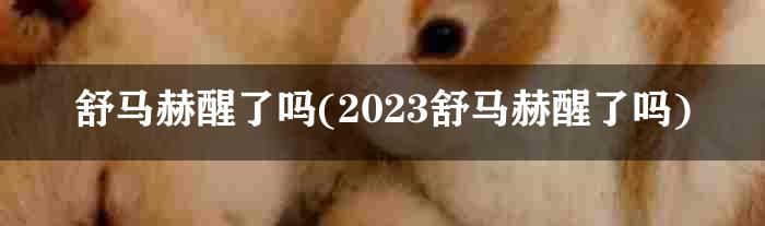 舒马赫醒了吗(2023舒马赫醒了吗)