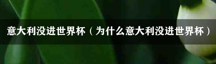 意大利没进世界杯（为什么意大利没进世界杯）