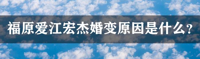 福原爱江宏杰婚变原因是什么？