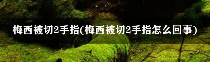 梅西被切2手指(梅西被切2手指怎么回事)