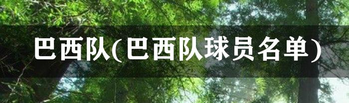 巴西队(巴西队球员名单2023)