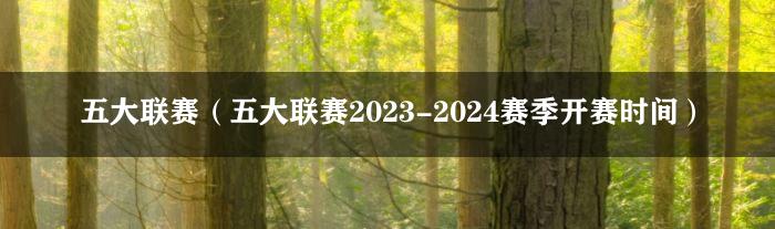 五大联赛（五大联赛2023-2024赛季开赛时间）