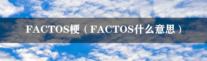 FACTOS梗（FACTOS什么意思）