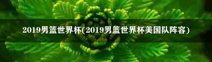 2019男篮世界杯(2019男篮世界杯美国队阵容)