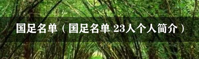 国足名单（国足名单 23人个人简介）