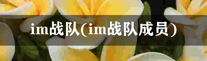 im战队(im战队成员)