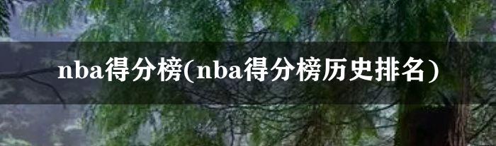 nba得分榜(nba得分榜历史排名)