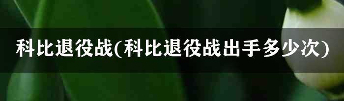 科比退役战(科比退役战出手多少次)