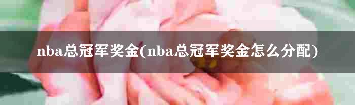 nba总冠军奖金(nba总冠军奖金怎么分配)