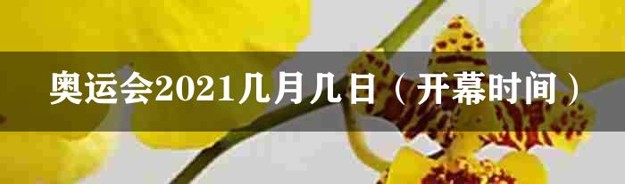 奥运会2021几月几日（开幕时间）