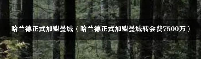 哈兰德正式加盟曼城（哈兰德正式加盟曼城转会费7500万）