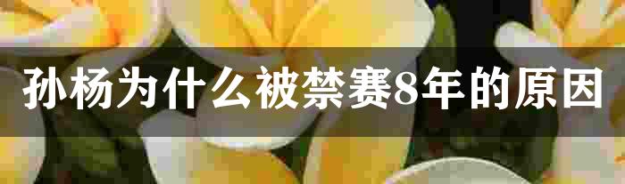 孙杨为什么被禁赛8年的原因