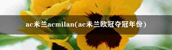 ac米兰acmilan(ac米兰欧冠夺冠年份)