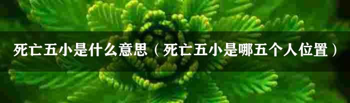 死亡五小是什么意思（死亡五小是哪五个人位置）