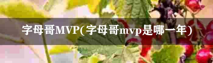 字母哥MVP(字母哥mvp是哪一年)