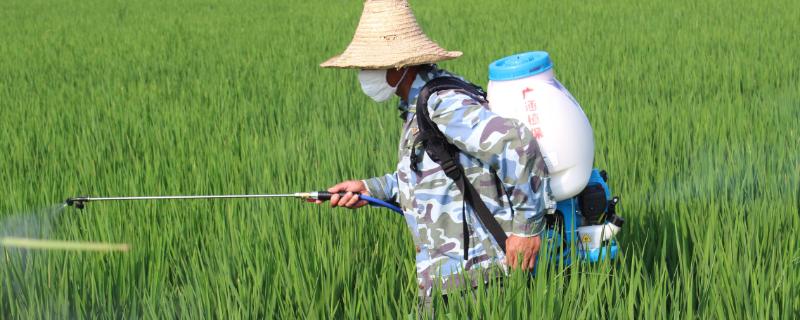 氯溴异氰尿酸混用注意，主治什么病害