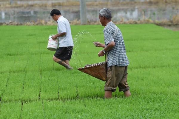 经济最佳施肥量