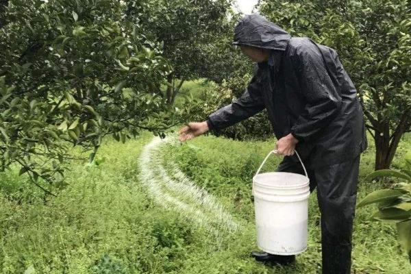 经济最佳施肥量