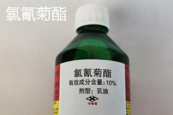 氯氰菊酯和高效氯氰菊酯的区别