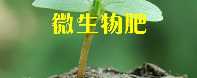 微生物肥料有哪些，与化肥的关系