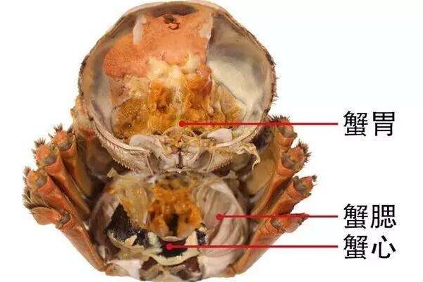 海蟹什么时候最肥 海蟹几月份吃最好