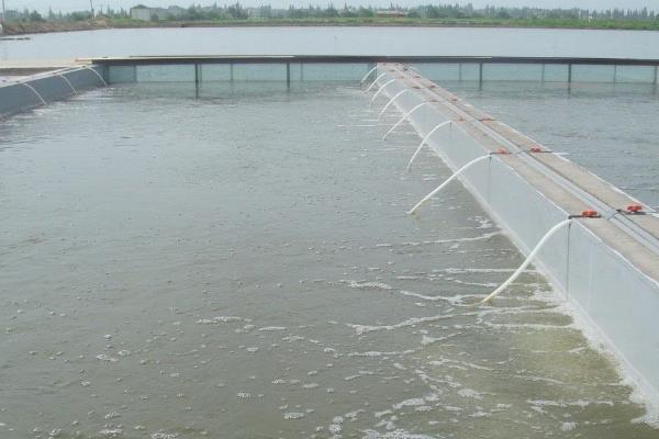 淡水鲈鱼的养殖方法，淡水鲈鱼和海鲈鱼的区别