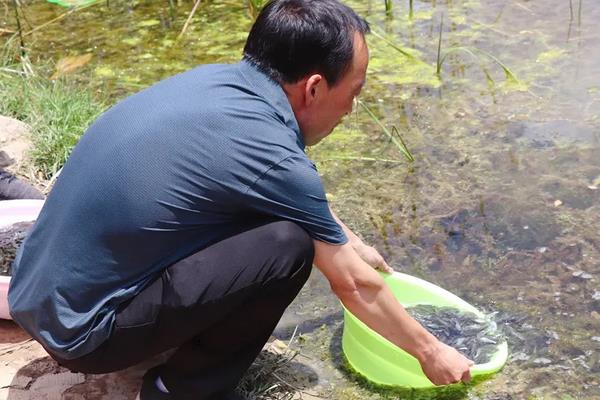 鲫鱼吃生米饭还是熟米饭，附养殖方法