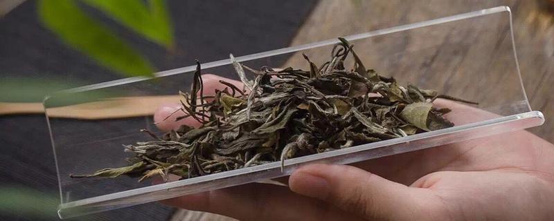 白茶属于发酵茶还是半发酵茶，白茶的种类