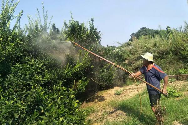 柑橘果实的生长发育适宜温度是，附种植方法和条件