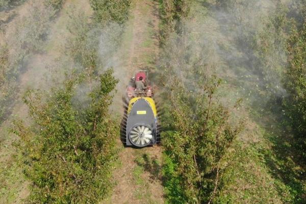 果园除草剂用哪种即除草又不伤树根