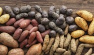发芽的土豆怎么种 如何种发芽的土豆