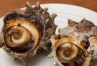 煮海螺多长时间能熟 煮海螺需要多久