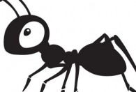 蚂蚁夏季会被晒死吗 蚂蚁喜欢生活在什么环境